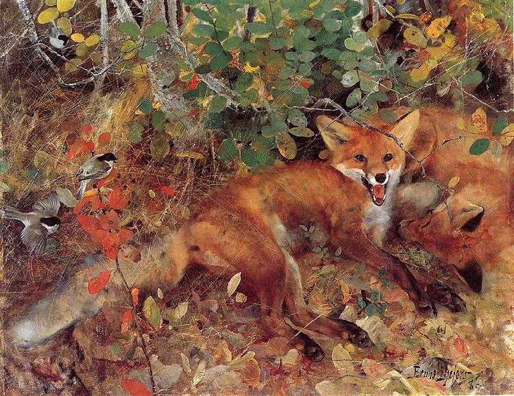 bruno liljefors Foxes china oil painting image
